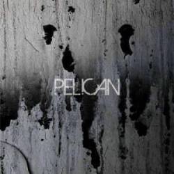 Pelican : Deny the Absolute